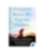 Before We Visit the Goddess by CHITRA BANERJEE DIVAKARUNI in Fiction category book cover on Bookdio.org