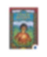 The Conch Bearer by CHITRA BANERJEE DIVAKARUNI in Literature category book cover on Bookdio.org