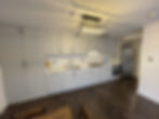 Single-Storey rear extension