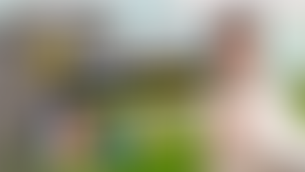 25 EXPRESSIONS françaises avec des ANIMAUX (très utilisées au quotidien)