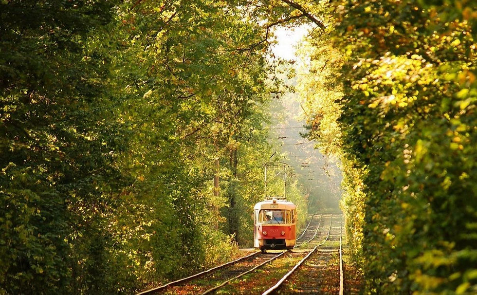 Pushcha-Vodytsya