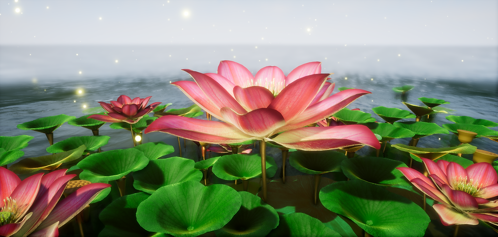 New Lotus