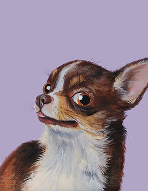 Chico.jpg