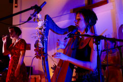 2016_11 Diana Haywood Photo-5