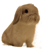 DSC_0752_edited_edited.png