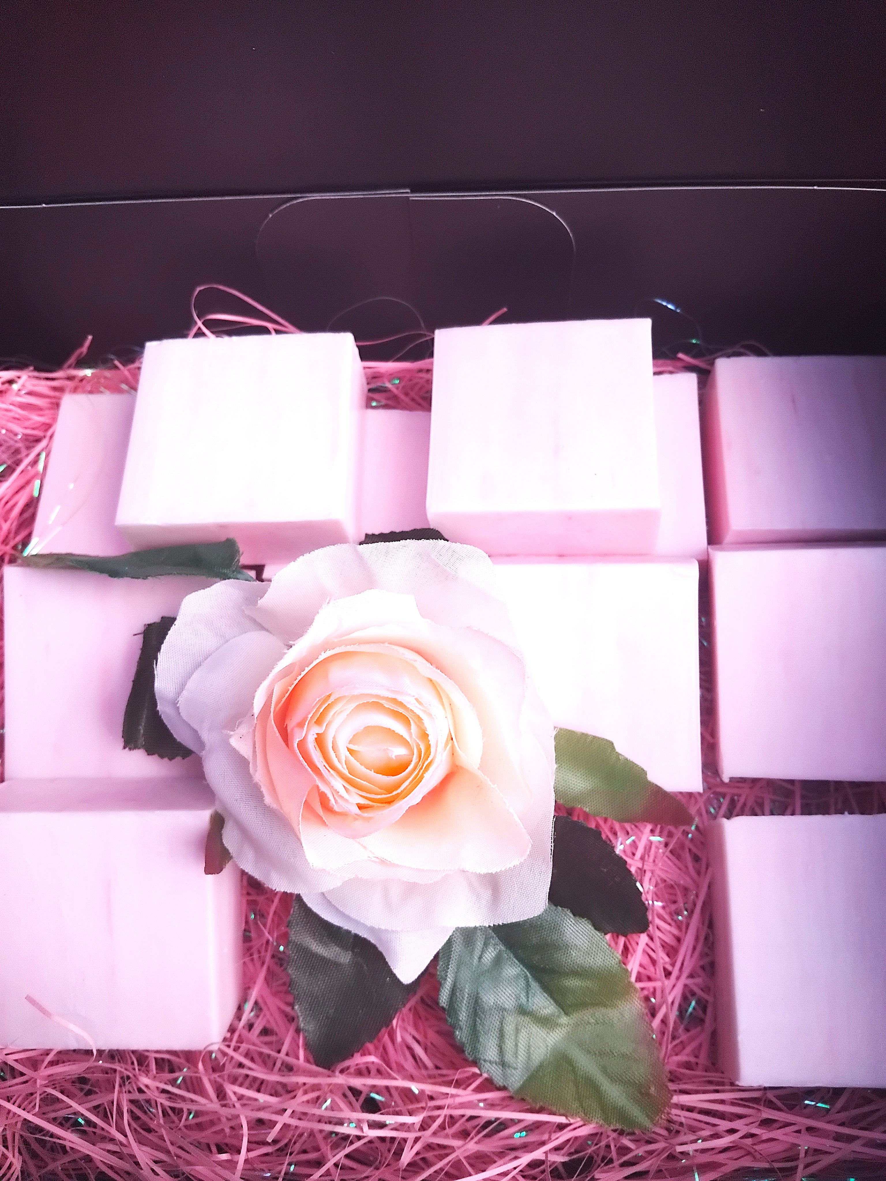 Wild Rose