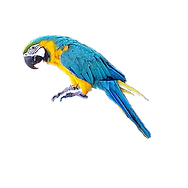 hiclipart.com (1).png