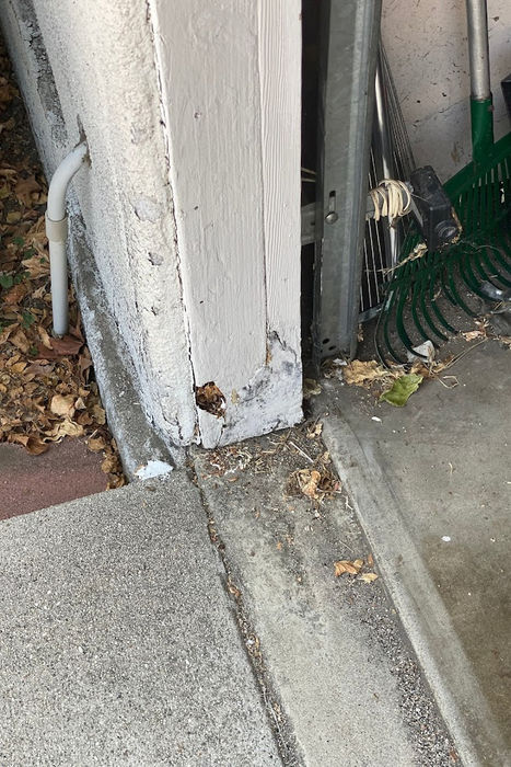 Image of a wooden structure heavily damaged due to pest or termite infestation. The wood shows clear signs of deterioration - it is hollowed out with visible tunnels and burrows, indicating a severe infestation. This image conveys the destructive potential of pests and the importance of pest control.