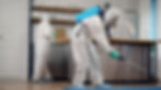 Termike team providing expert pest control in a home, showcasing professionalism and commitment.