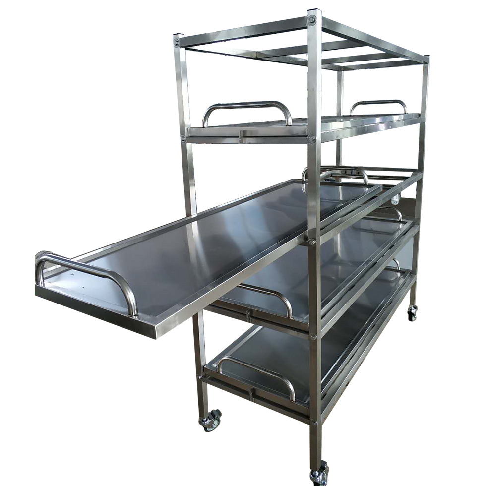 Miniatură: Raft pentru cadavre - incarcare frontala