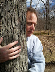 WILL TREE.jpg