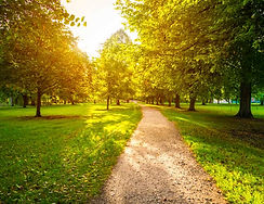 RP-Topic-path1.jpg