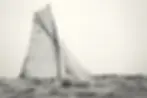 AZ0T5015.webp