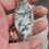 Thumbnail: Tree Agate 