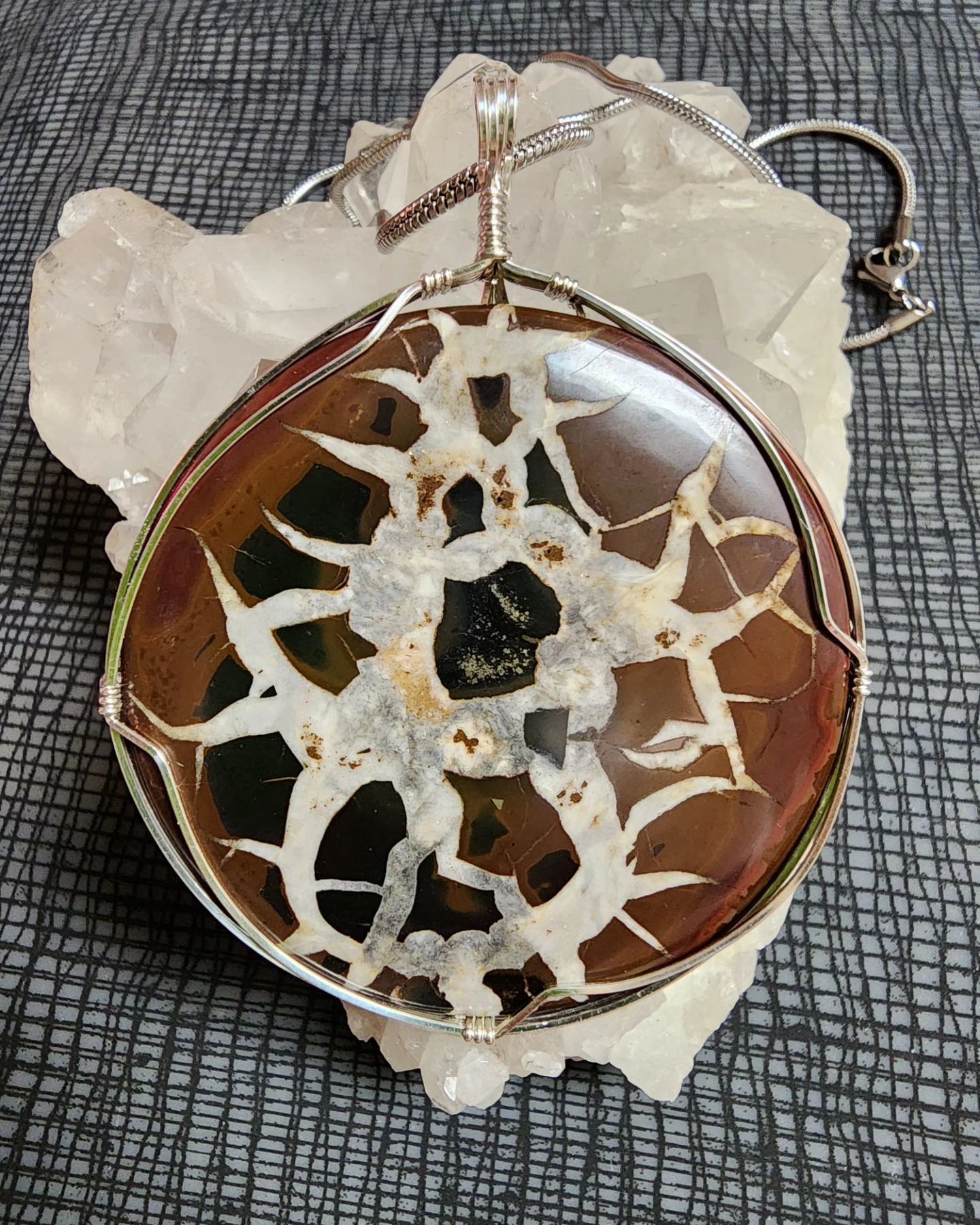 Sepratarian (large size)