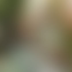 EGP South, Winterization