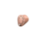 In-the-ear (ITE)