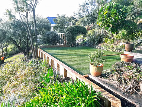 lawn.jpg