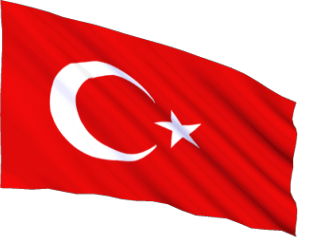 Turkey_240-animated-flag-gifs.gif