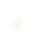 fond_logo_gr.png