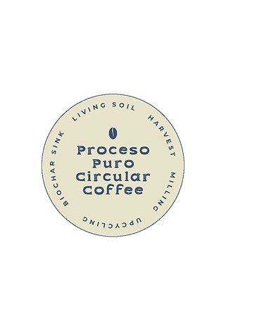 PROCESO PURO CIRCULAR-final logo2.png