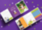 Brochures Shining Smiles