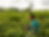 IMG_8555.PNG