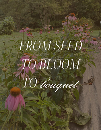 TFAE IG Brand Posts-2.png