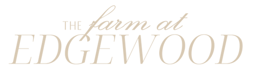 TFAE Logo + Fonts -4.png