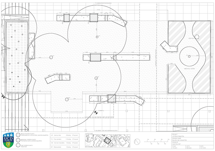 BlueBird Cafe Courtyard Master Plan.png