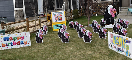 Birthday Lawn Card Rentals in Edmonton Alberta Canada.