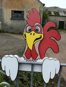 Lawn Card Rentals fence peeper