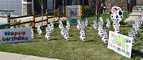 Birthday Lawn Card Rentals in Edmonton Alberta Canada.