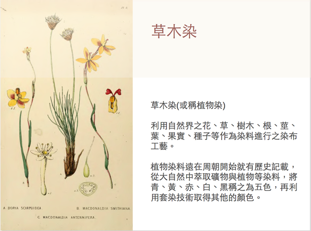 {草木紮染}工作坊