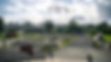 DSC09524.jpg