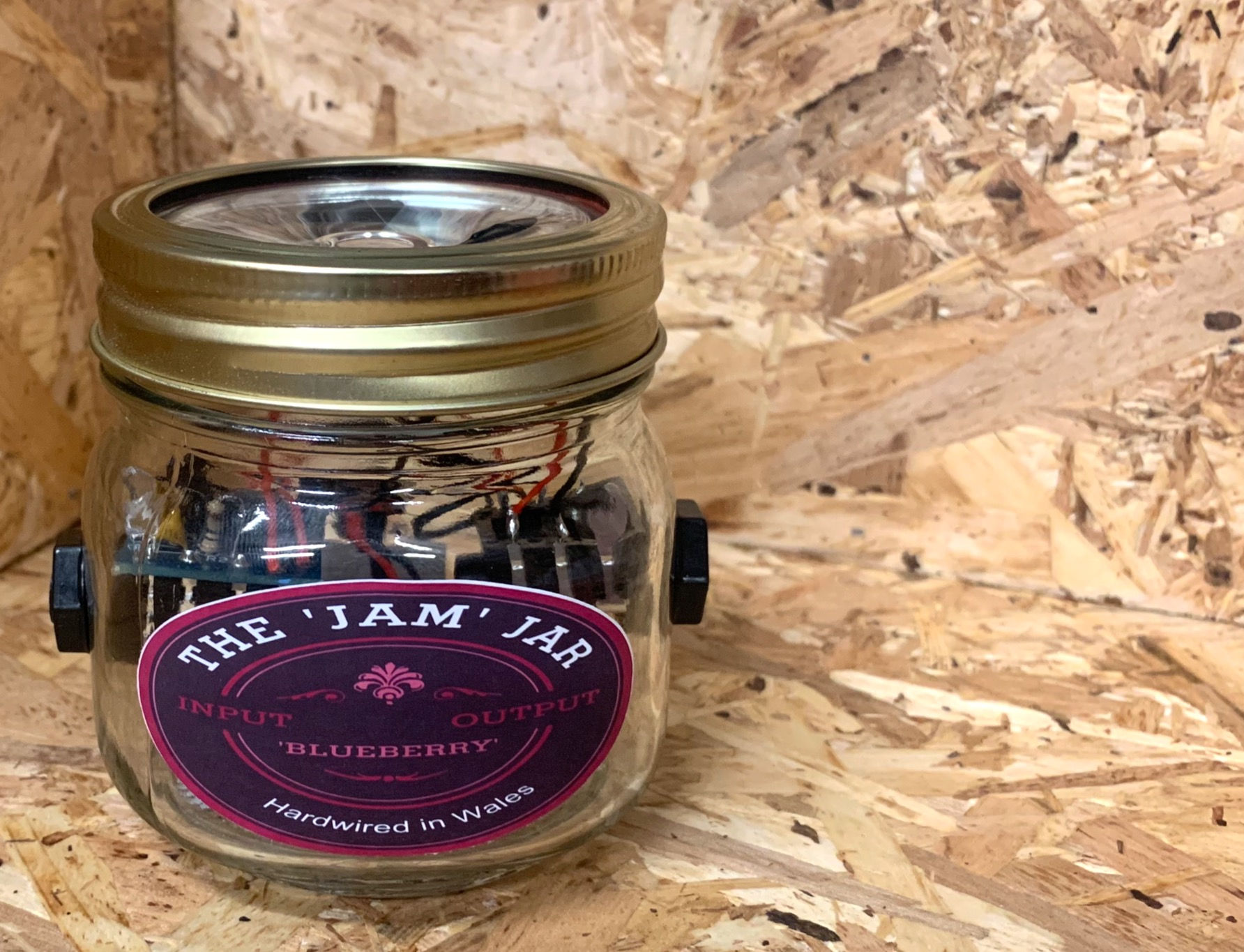 Blueberry Amp with DC Power