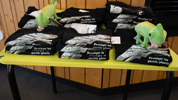 Raising awareness amongst the European public about chameleon conservation