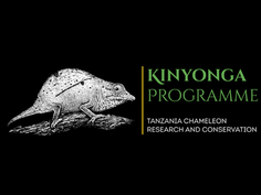 Caméléon Center Conservation lance le Kinyonga Programme en Tanzanie