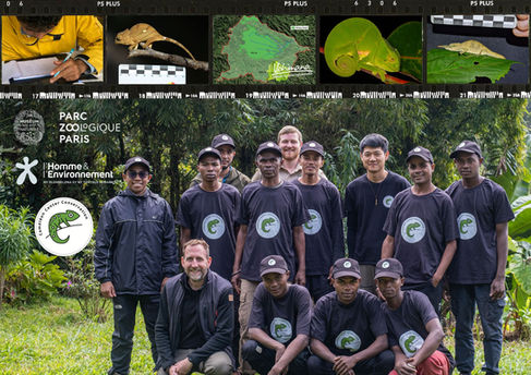 Expertise des guides locaux pour l'étude des caméléons sur le terrain