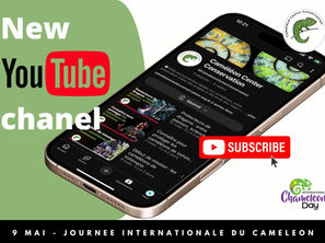 Journée Internationale du Caméléon – 9 mai 2025
