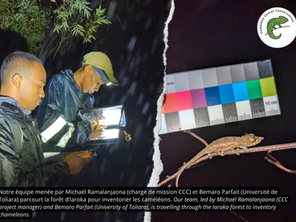 Début de mission à Iaroka : une nouvelle page s’ouvre