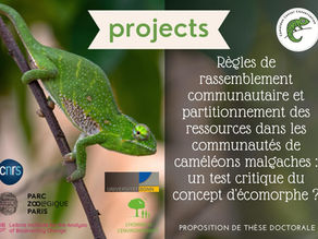 New project: doctoral thesis proposal