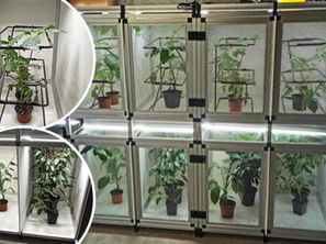 Excitante collaboration!