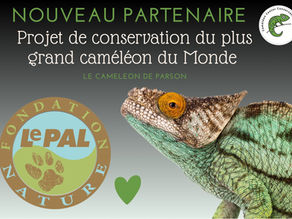 New support for the conservation of the Parson's chameleon