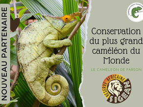 The Sigean African Reserve supports our projects!
