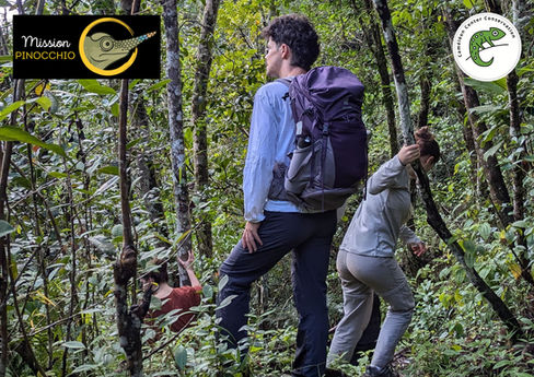 Three veterinary students join the Pinocchio Mission in Vohimana