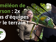Le programme du Caméléon de Parson franchit une nouvelle étape à Madagascar