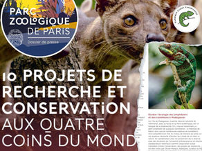 Honouring our projects