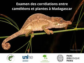 New in situ research project!
