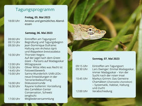  AG Chamaeleons in der DGHT 2023